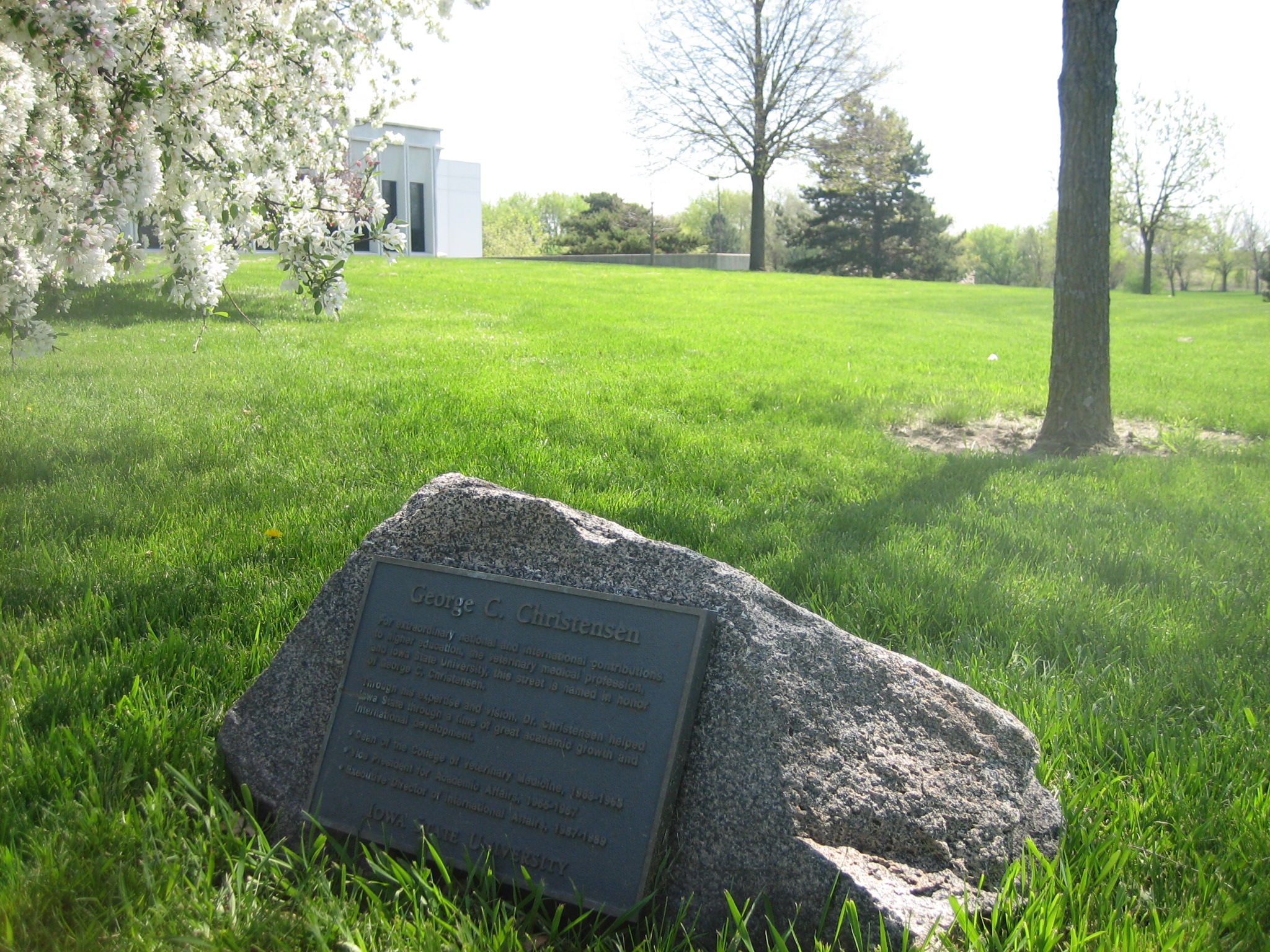 closeup photo
